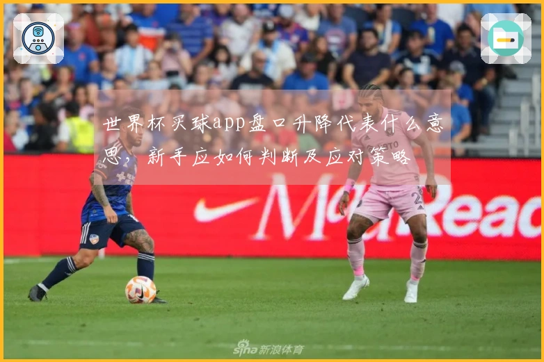 世界杯买球app盘口升降代表什么意思，新手应如何判断及应对策略