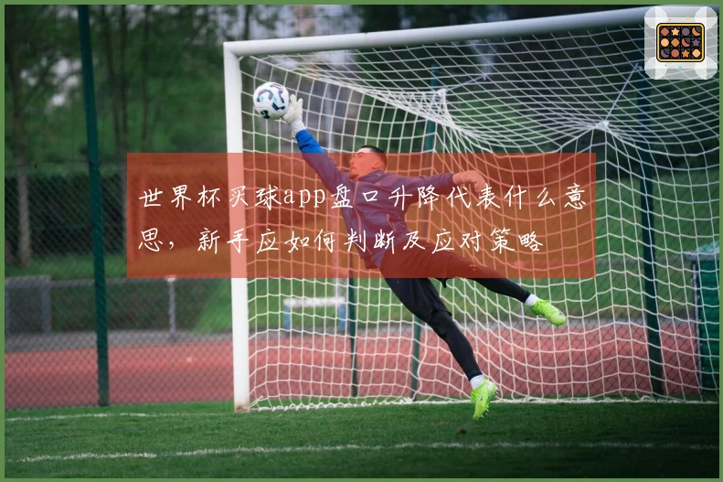 世界杯买球app盘口升降代表什么意思，新手应如何判断及应对策略