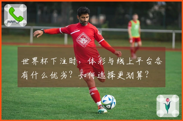 世界杯下注时，体彩与线上平台各有什么优劣？如何选择更划算？
