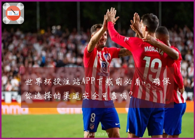 世界杯投注站APP下载前必看，确保你选择的渠道安全可靠吗？