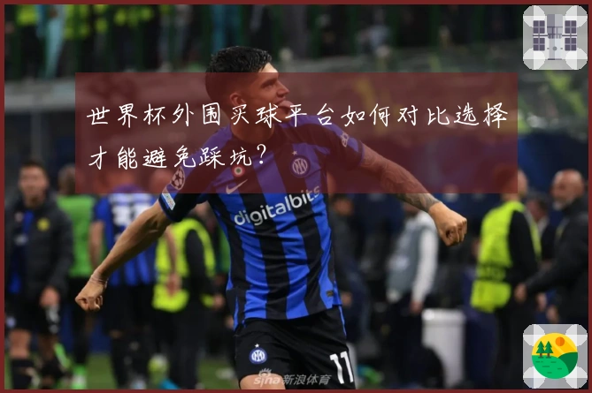 世界杯外围买球平台如何对比选择才能避免踩坑？